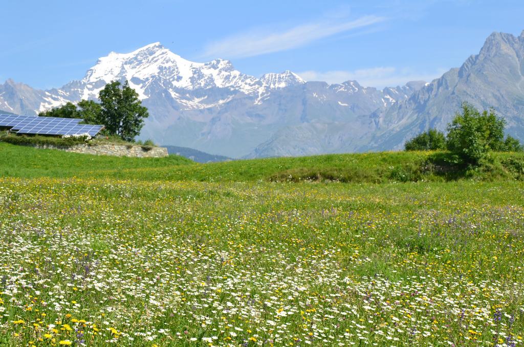 Lo Coppa Fen Appartement Aosta Buitenkant foto